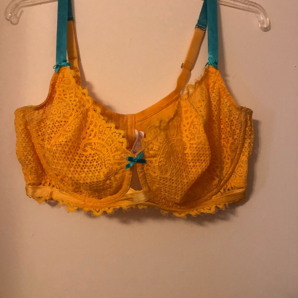 Lane Bryant Cacique Bra